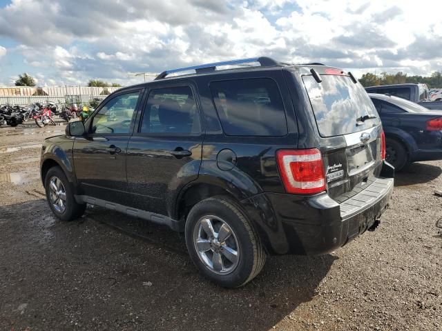 2011 Ford Escape Limited