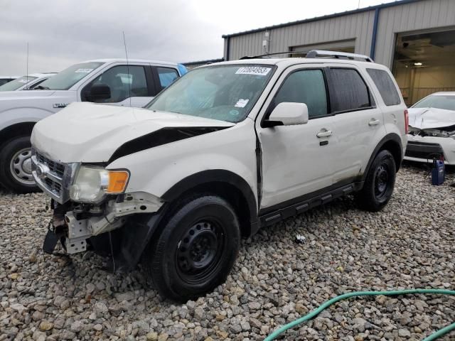 2011 Ford Escape Limited