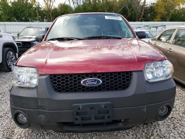 2005 Ford Escape XLT