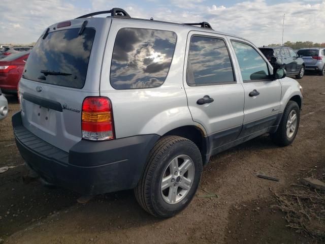 2005 Ford Escape HEV