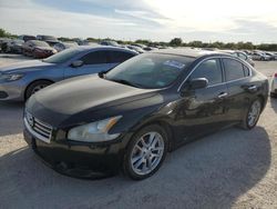 Nissan Maxima S salvage cars for sale: 2012 Nissan Maxima S