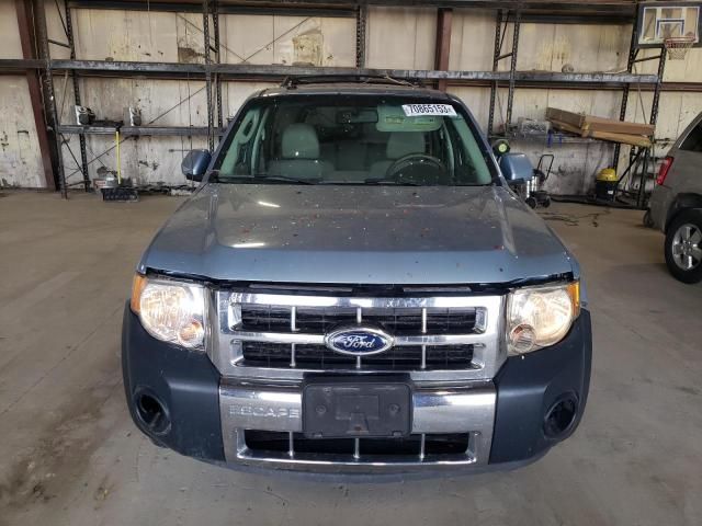 2009 Ford Escape Hybrid