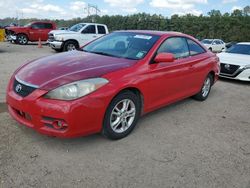 Toyota Camry Sola salvage cars for sale: 2008 Toyota Camry Solara SE