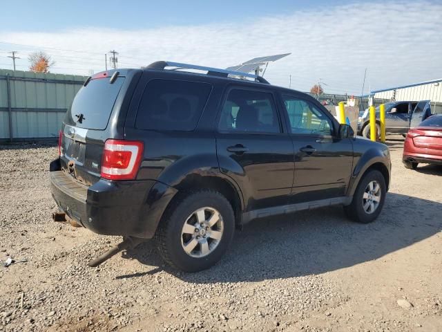 2010 Ford Escape Limited