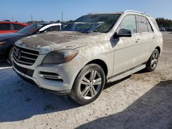 Salvage cars for sale at Arcadia, FL auction: 2013 Mercedes-Benz ML 350 4matic