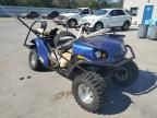 2015 Ezgo Golfcart