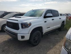 Toyota Vehiculos salvage en venta: 2019 Toyota Tundra Crewmax SR5