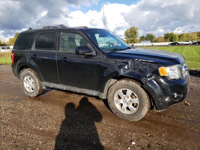 2010 Ford Escape Limited