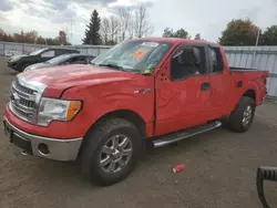 Salvage cars for sale at Bowmanville, ON auction: 2013 Ford F150 Super Cab