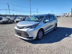 Salvage cars for sale at Hillsborough, NJ auction: 2024 Toyota Sienna LE