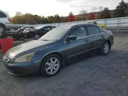 Honda Vehiculos salvage en venta: 2004 Honda Accord EX