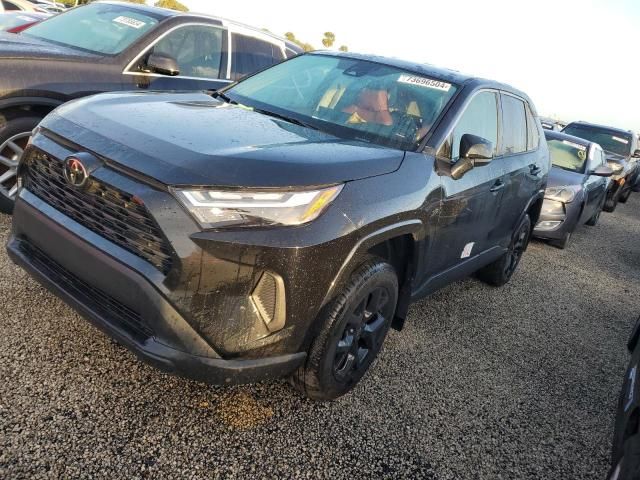 2024 Toyota Rav4 LE