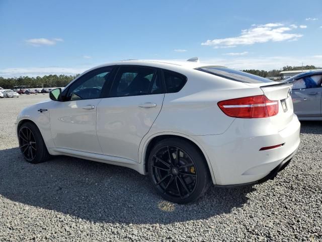 2011 BMW X6 M