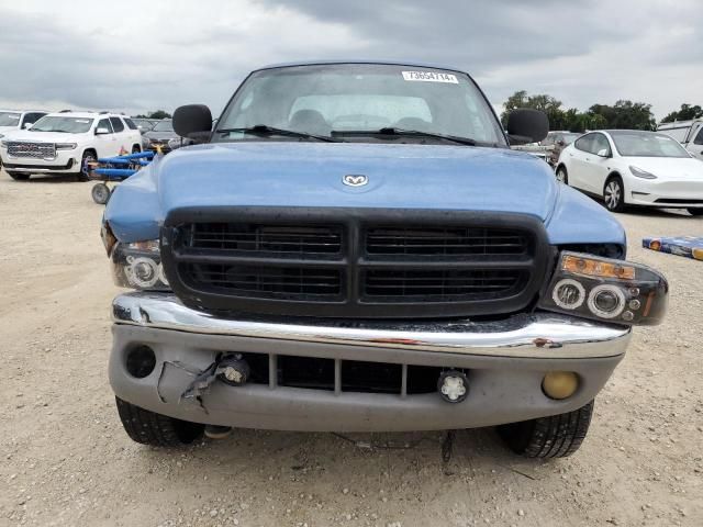 2000 Dodge Dakota Quattro