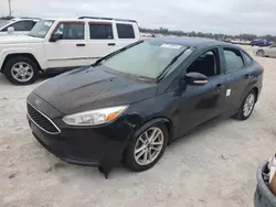 2015 Ford Focus SE en venta en Arcadia, FL