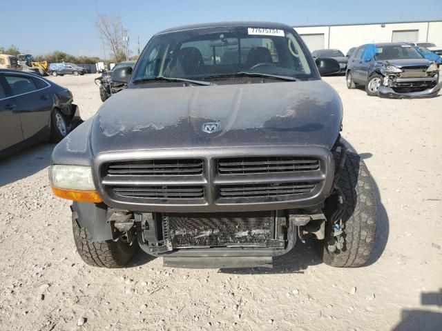 2003 Dodge Dakota SXT