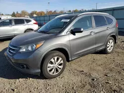 Salvage cars for sale at Pennsburg, PA auction: 2013 Honda CR-V EXL