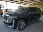 2024 Cadillac Escalade Luxury