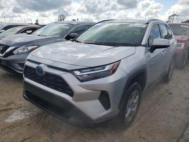 2023 Toyota Rav4 LE