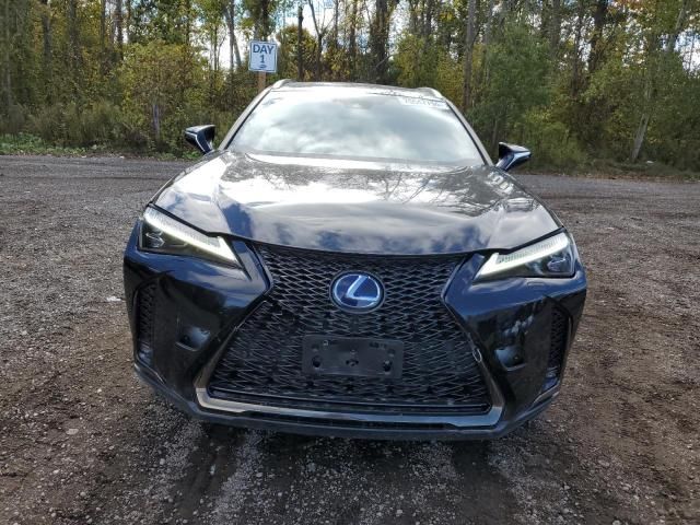 2020 Lexus UX 250H