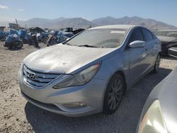 Salvage cars for sale at Magna, UT auction: 2013 Hyundai Sonata SE