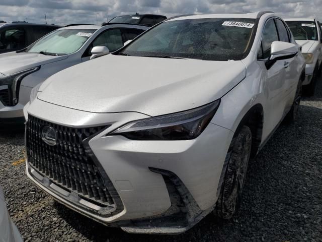 2025 Lexus NX 250 Premium