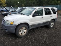 2006 Ford Escape HEV en venta en Graham, WA