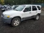 2006 Ford Escape HEV