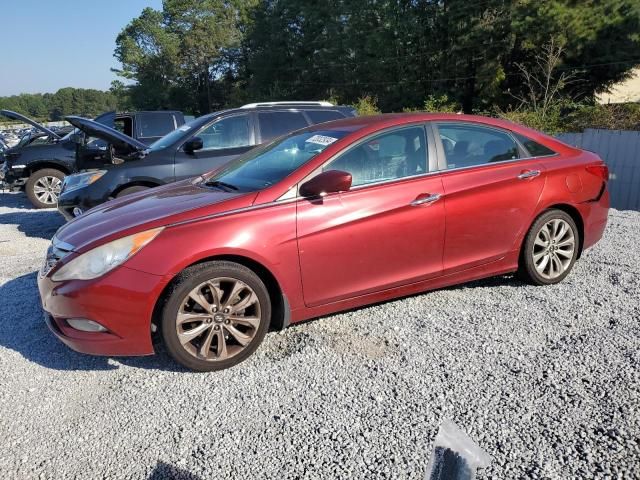 2011 Hyundai Sonata SE