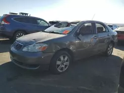 Salvage cars for sale at Albuquerque, NM auction: 2006 Toyota Corolla CE