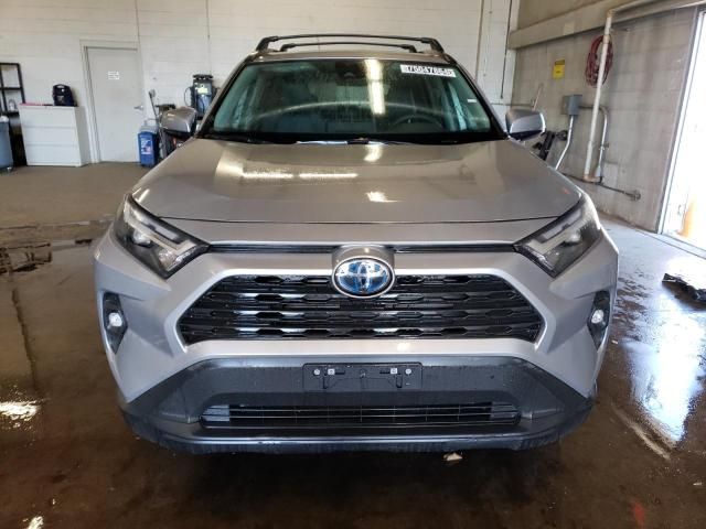 2024 Toyota Rav4 XLE Premium