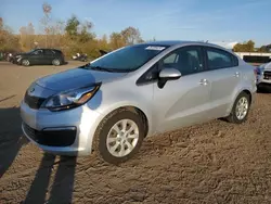 Salvage cars for sale at Columbia Station, OH auction: 2017 KIA Rio LX