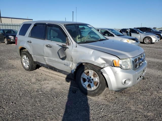 2008 Ford Escape XLS