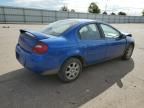 2005 Dodge Neon SXT