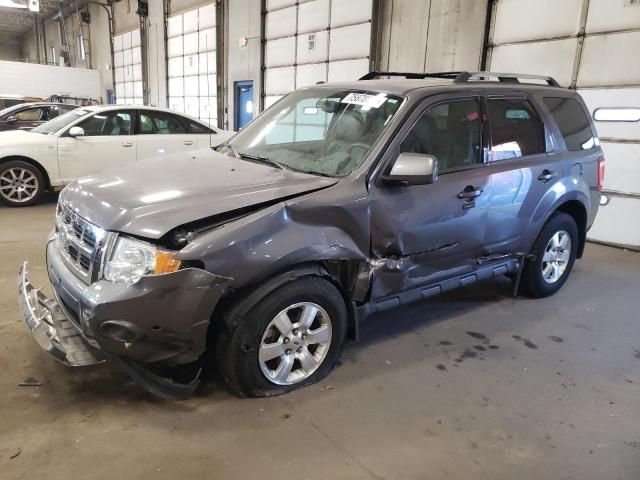 2010 Ford Escape Limited