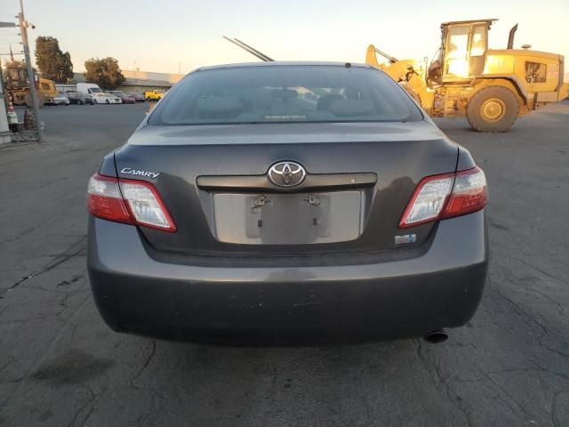 2009 Toyota Camry Hybrid