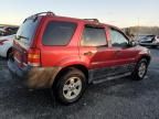 2007 Ford Escape XLT