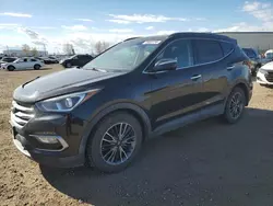 Hail Damaged Cars for sale at auction: 2017 Hyundai Santa FE Sport