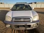 2005 Hyundai Santa FE GLS