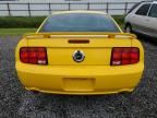 2005 Ford Mustang GT