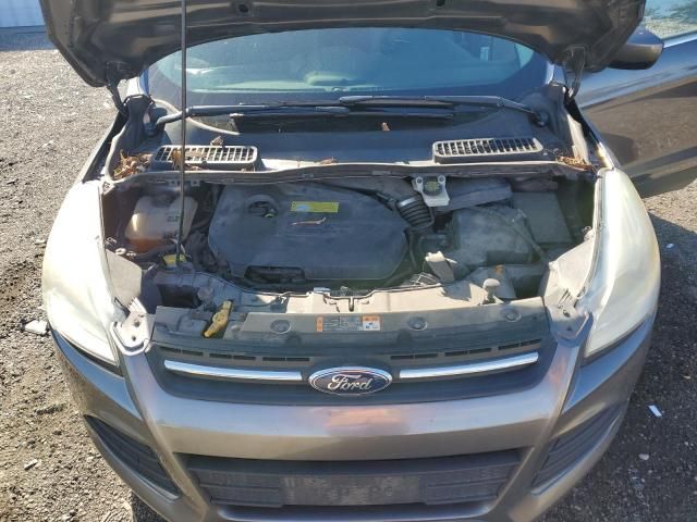 2013 Ford Escape SE