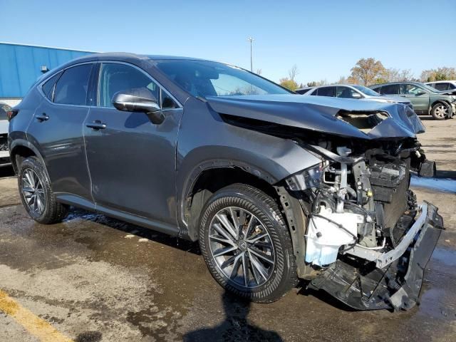 2024 Lexus NX 350 Premium