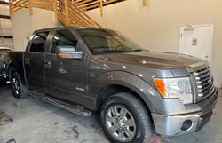 Ford Vehiculos salvage en venta: 2011 Ford F150 Supercrew