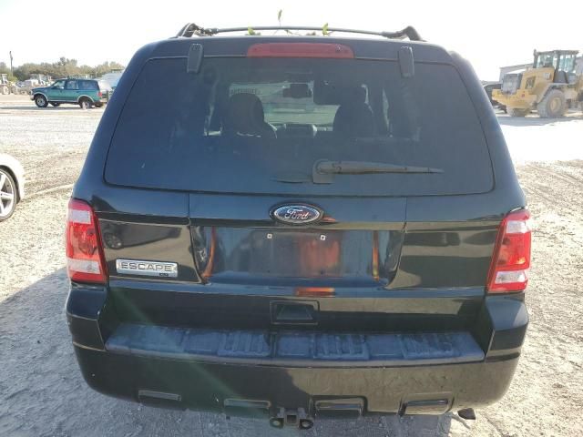 2010 Ford Escape XLT