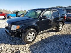 Salvage cars for sale at Wayland, MI auction: 2012 Ford Escape XLT