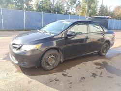 Salvage cars for sale at Moncton, NB auction: 2013 Toyota Corolla Base