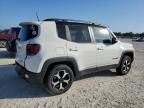 2019 Jeep Renegade Trailhawk