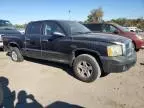 2007 Dodge Dakota Quattro