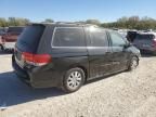 2009 Honda Odyssey EXL