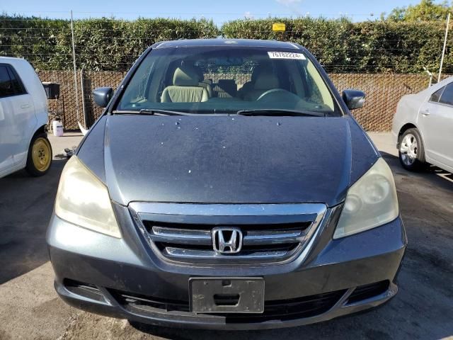 2005 Honda Odyssey EXL